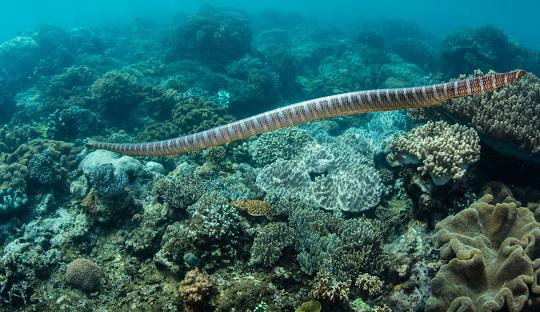 image-20 Conheça 10 lugares misteriosos e impressionantes do planeta que nenhum turista pode visitar
